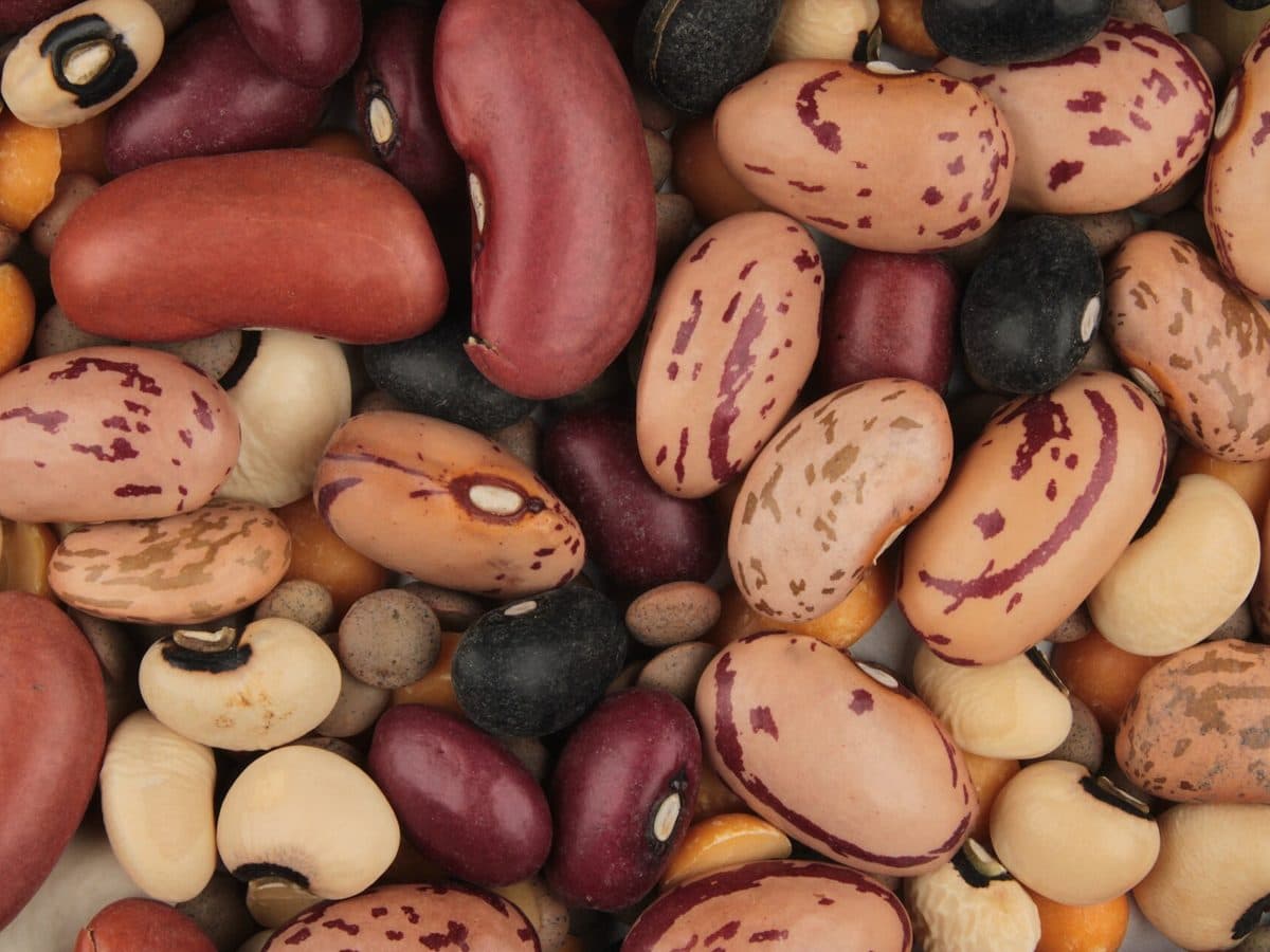 Pulses